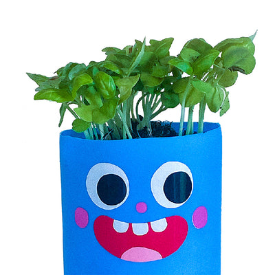 How to make a Sud Bud pot plant.