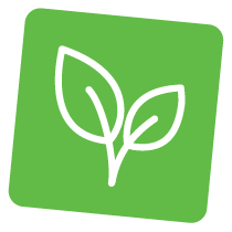 A simple white outline of two leaves on a green rounded square background, representing nature or eco-friendliness.