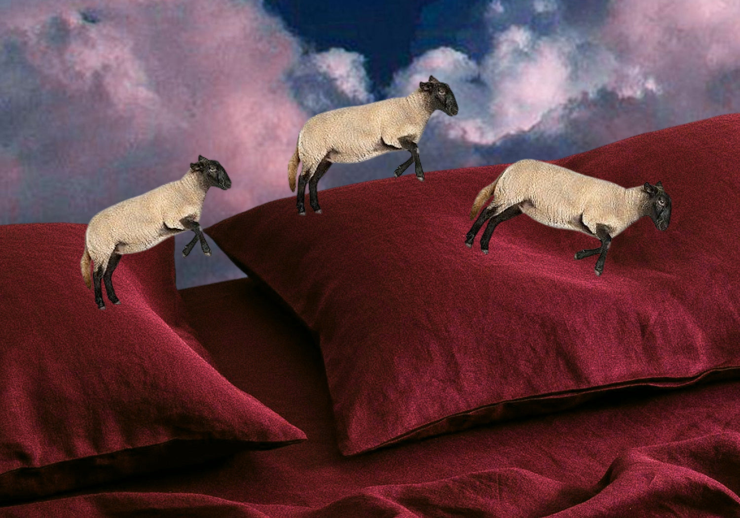 Waking Up In The Middle Of The Night? A Sleep Expert Explains What To Do Next